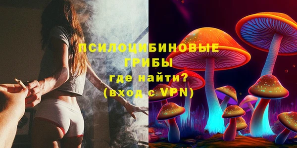 мяу мяу мука Баксан
