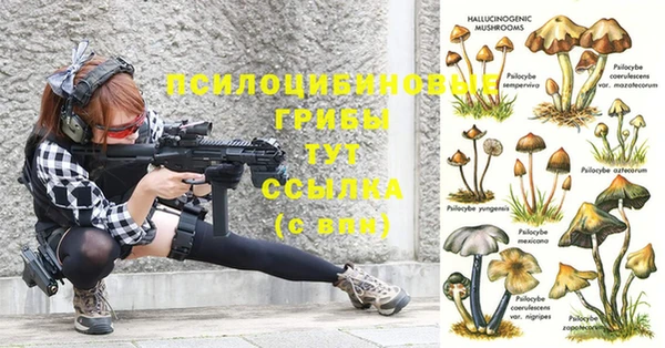 мяу мяу мука Баксан