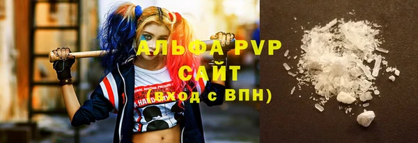 шишки Арсеньев