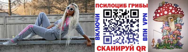 Галлюциногенные грибы прущие грибы  Калининец 